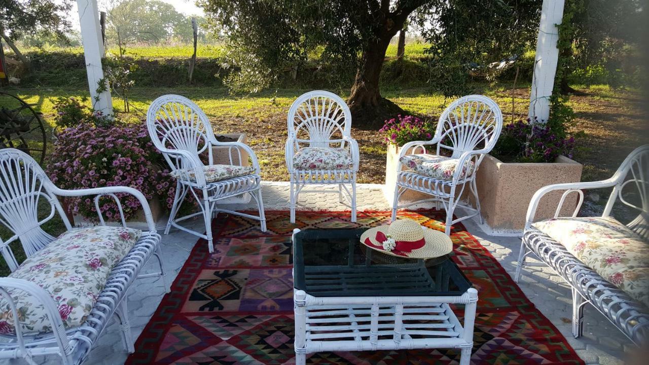 Agriturismo Heaven كابو فاتيكانو المظهر الخارجي الصورة