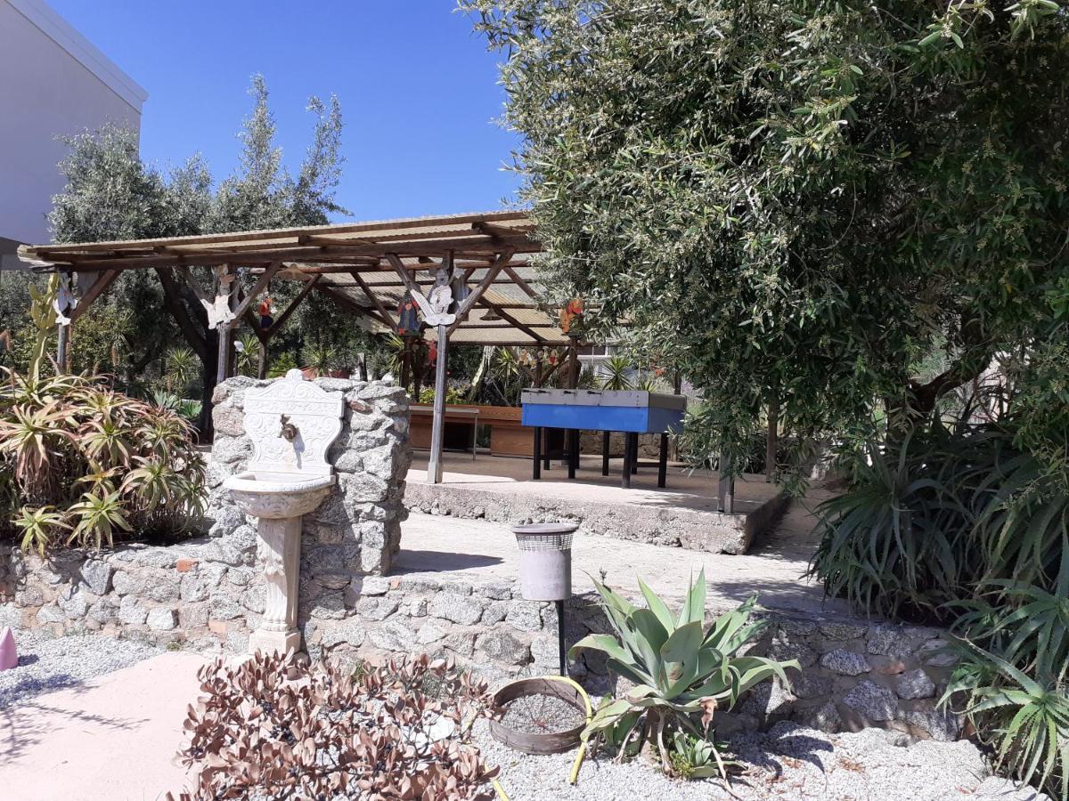 Agriturismo Heaven كابو فاتيكانو المظهر الخارجي الصورة